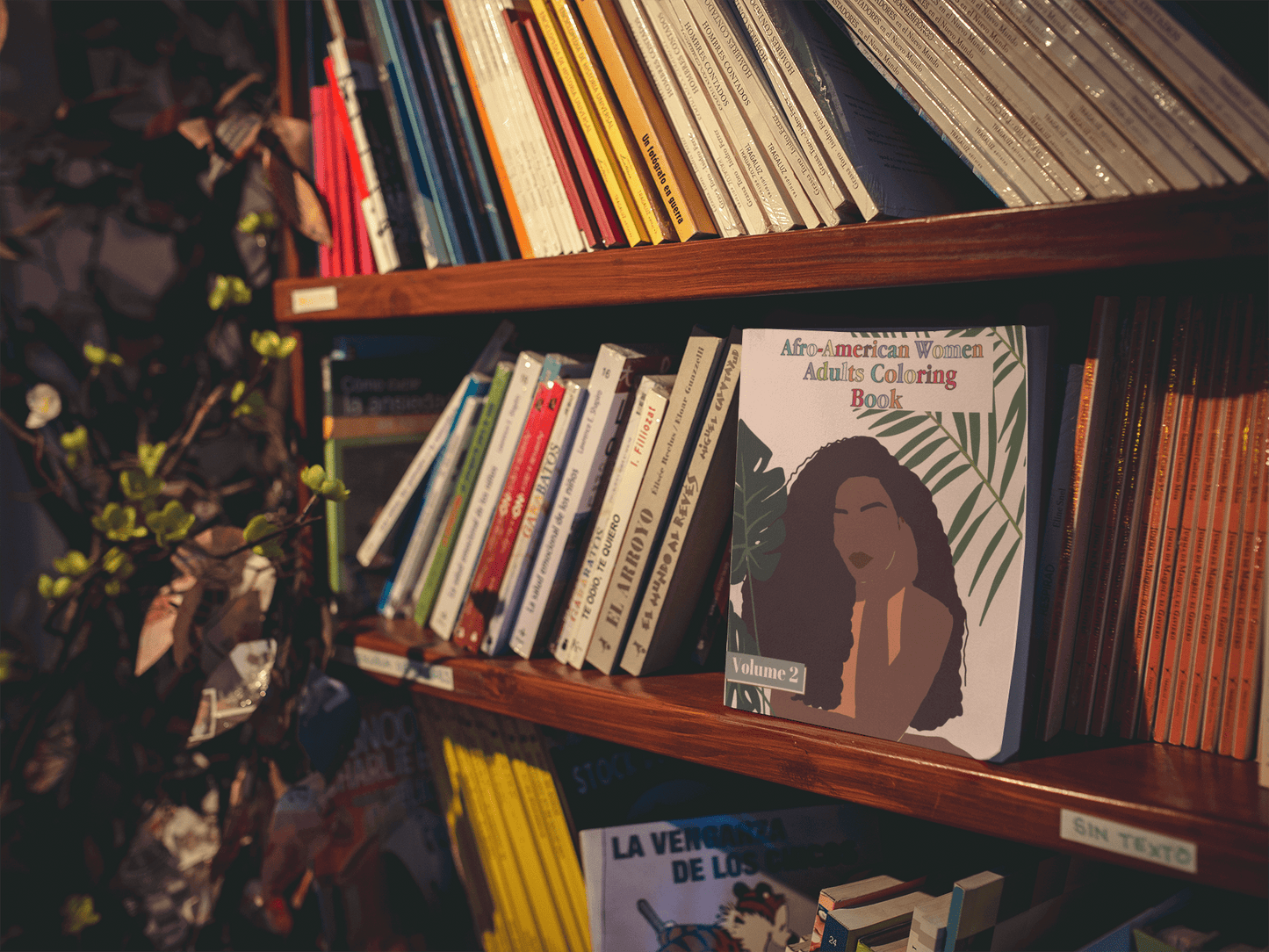 Afro-American Women Adults Coloring Book Volume 2 displayed on a wooden bookshelf among various other books.