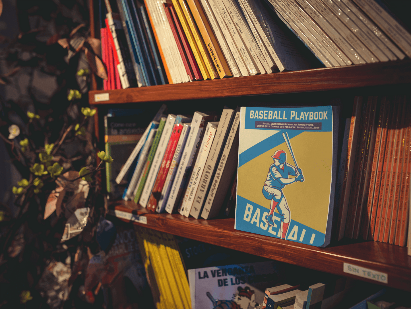 Baseball Playbook on a bookshelf, designed for coaches to plan strategies and drills for high school or college baseball teams.