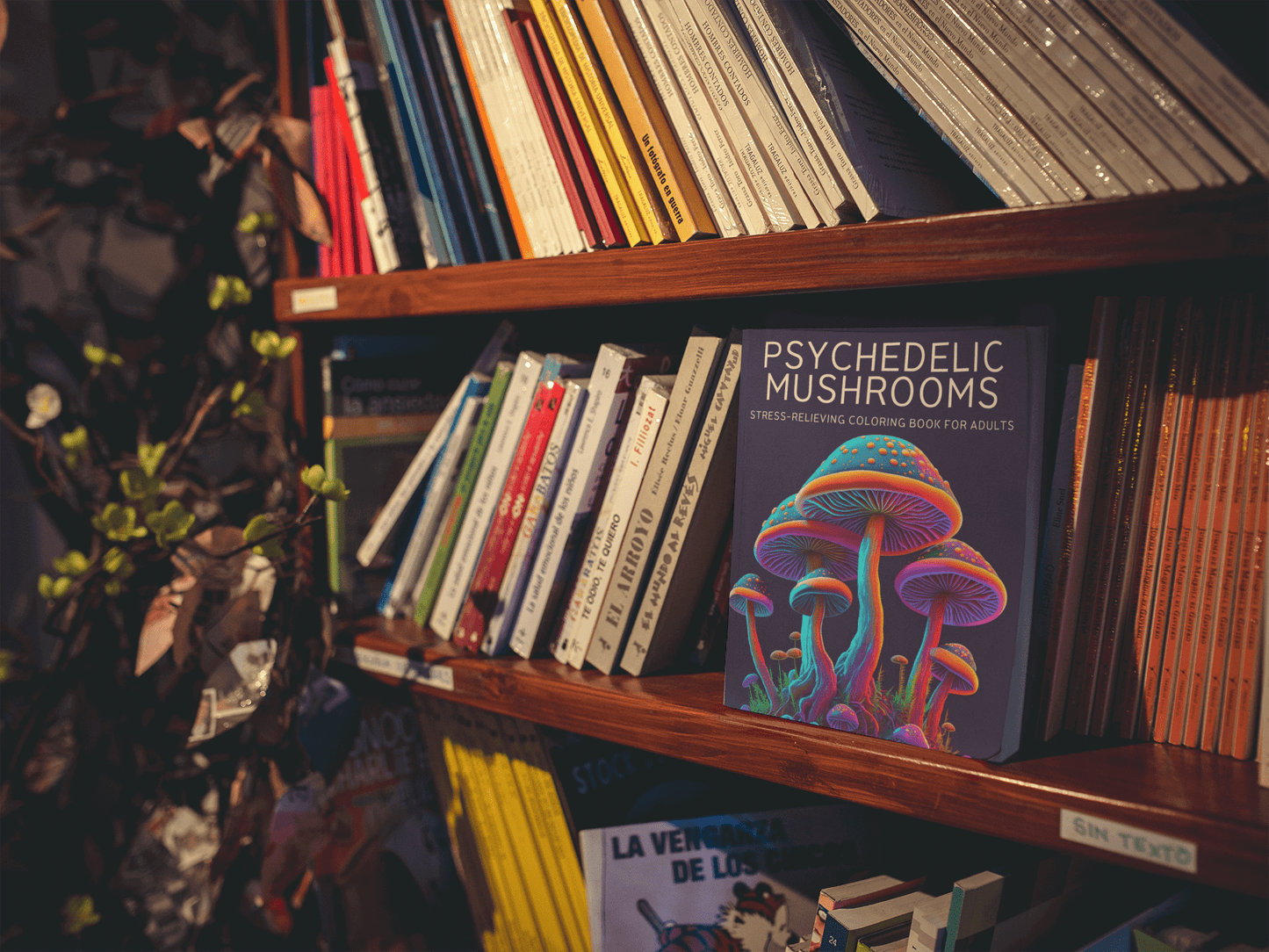 Psychedelic Mushrooms - Harris Creative Designs