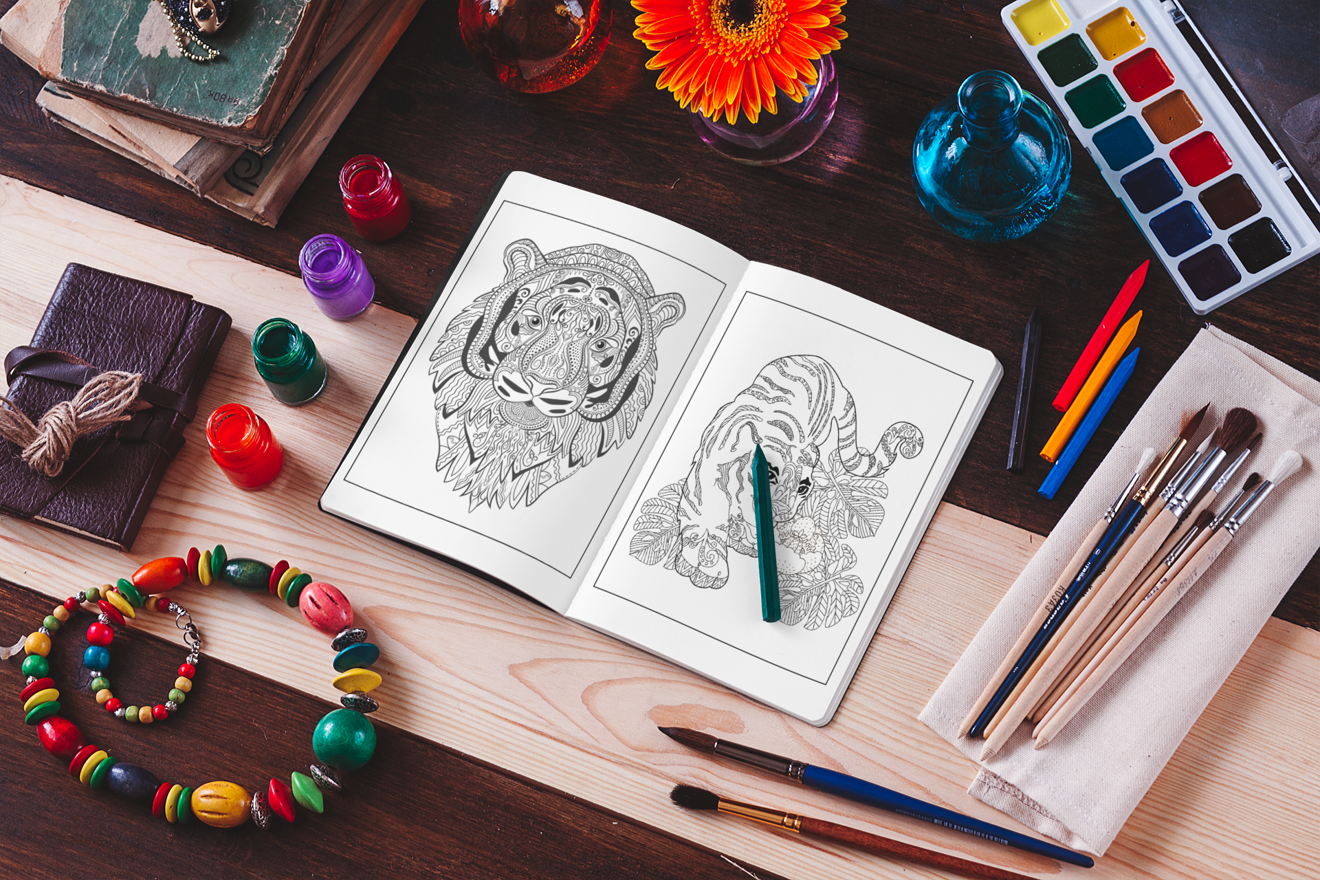 Tiger Coloring Book