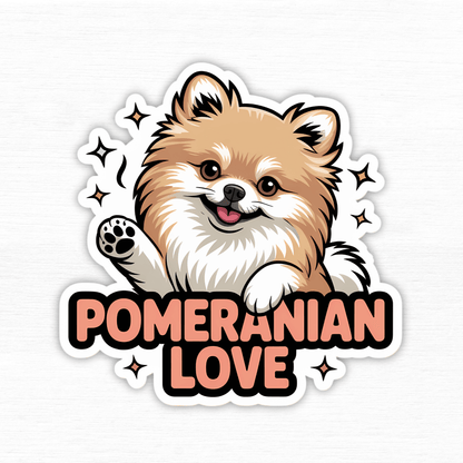 Pomeranian Perfection