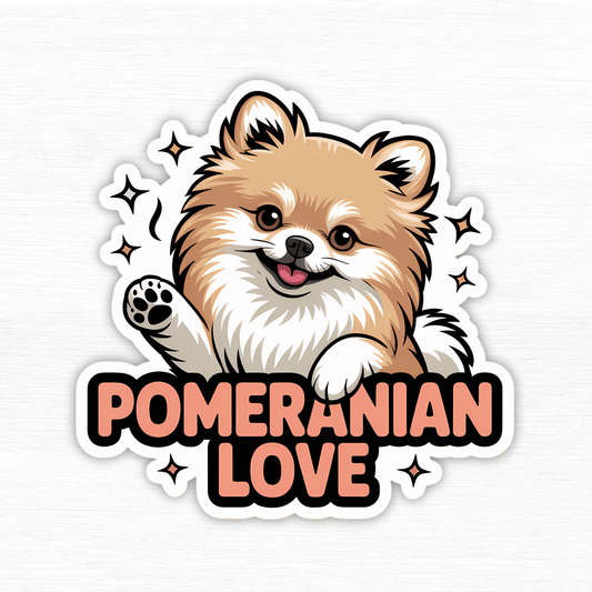 Pomeranian Perfection