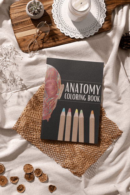 Anatomy Coloring Book on a textured fabric, featuring colored pencils and decorative elements.
