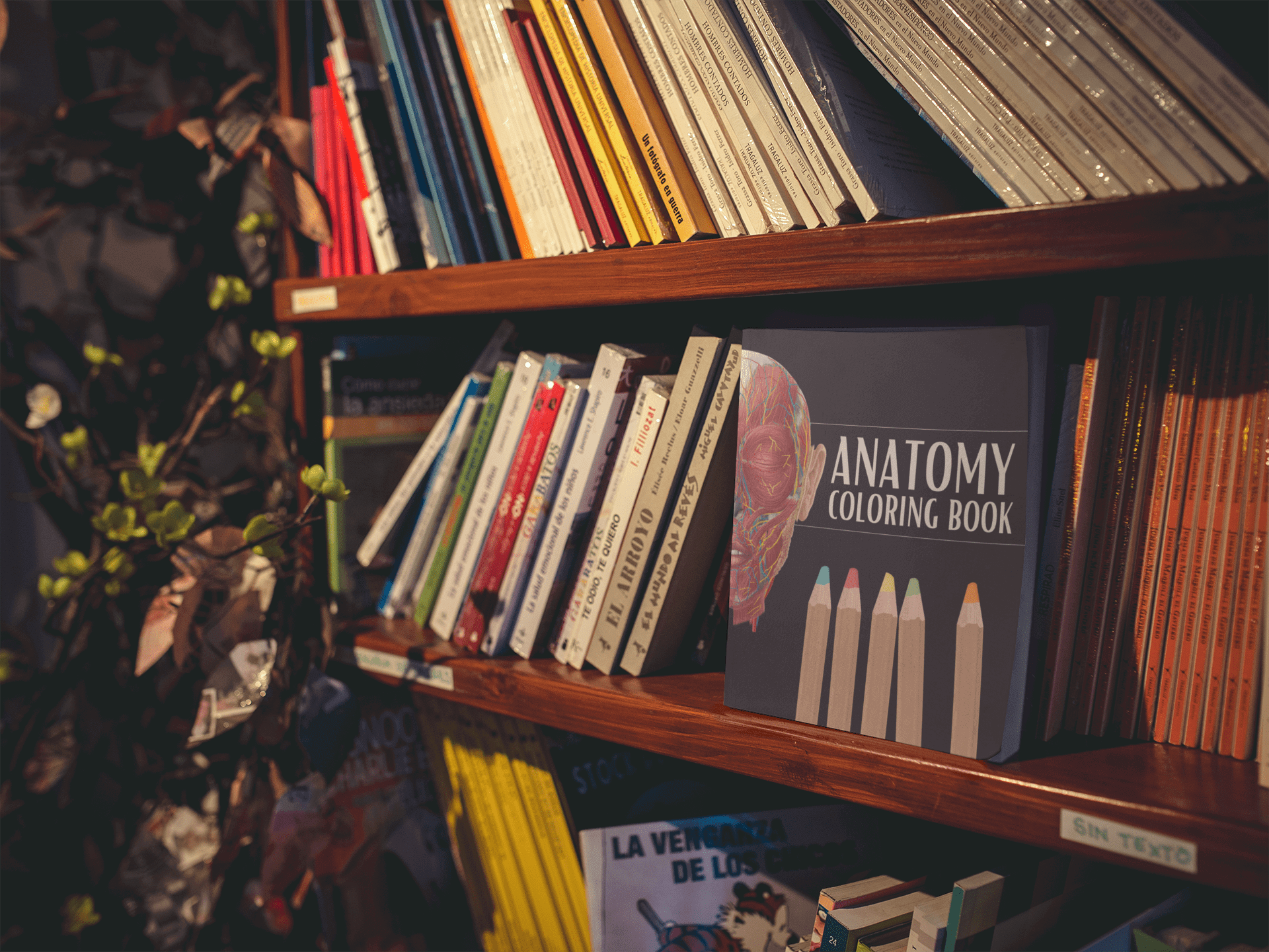 Anatomy Coloring Book displayed on a wooden shelf among various colorful books, highlighting its educational theme.