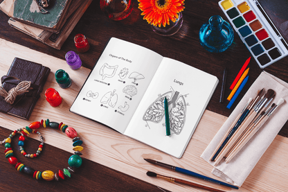 Open anatomy coloring book showing body organs with colorful paint supplies and brushes on a wooden table.